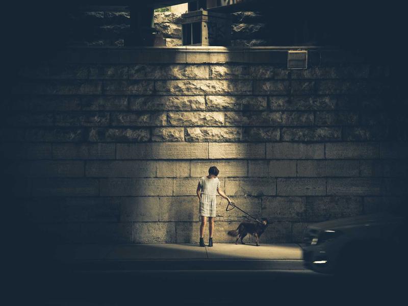 最后生还者<br>mcbhuqd.cn 真菌孢子危机